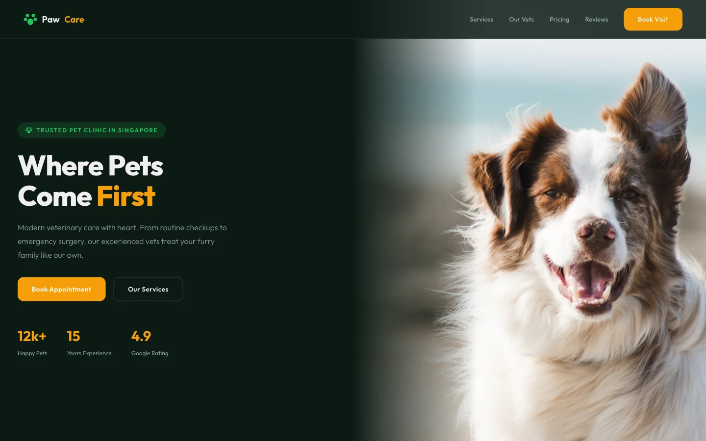 PawCare Veterinary